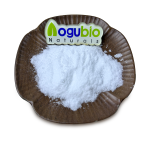 L-Theanine Powder Factory - Natural High Quality Organic Plant