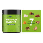 Turkey Tail Extract Factory - Organic 30-50% Polysaccharides