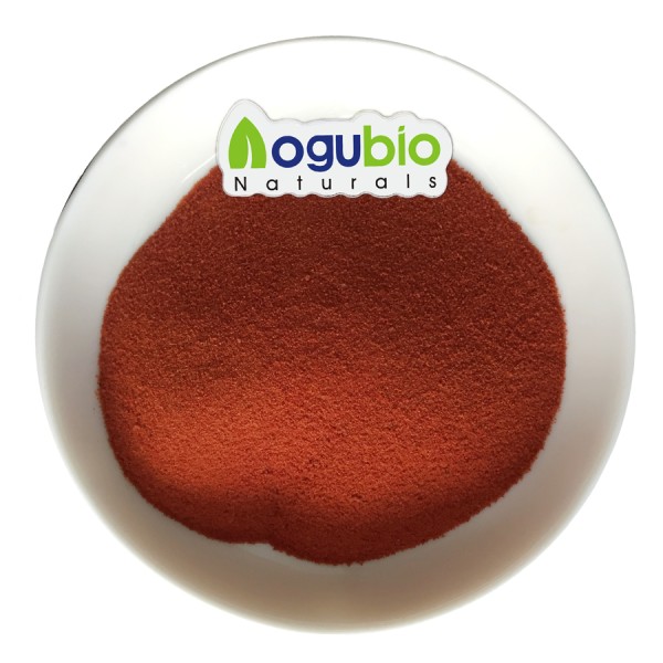 Lycopene Powder Manufacturer - High Quality 10% Organic Extract