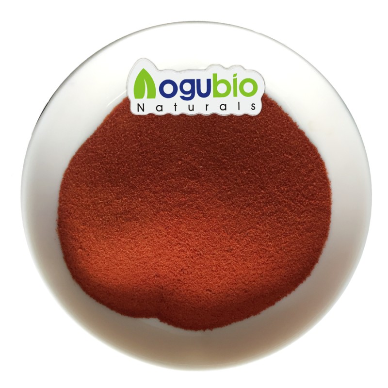 Lycopene Powder Manufacturer - High Quality 10% Organic Extract