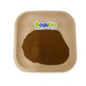 Cordyceps Extract Manufacturer - 30% Polysaccharide Sinensis