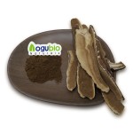 Reishi Extract Powder Factory - Natural Mushroom Extract Powder