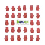 Shilajit Gummies Supplier - OEM Himalayan Pure Health Supplement