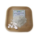 Tiger Milk Extract Supplier - High Quality Mushroom Extract