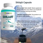 Shilajit Capsules Manufacturer - High Quality Extract Wholesale