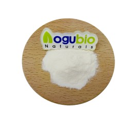 Lactobacillus Acidophilus Powder Supplier - High Quality 3 Billion CFU
