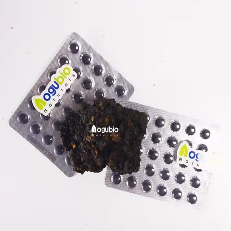 Shilajit Tablets Supplier - Private Label Extract Fulvic Acid Himalayan