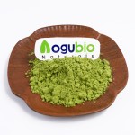 Green Powder Factory - OEM Superfood Dietary Supplement Organic