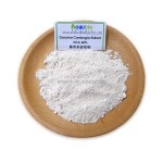 Garcinia Cambogia Supplier - Bulk Extract Powder HCA 50-70%