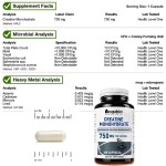 Creatine Capsules Factory - Monohydrate Private Label Bulk