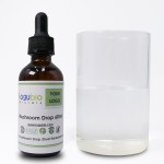 Zhuling Extract Factory - Top Quality 10:1 Polyporus Umbellatus