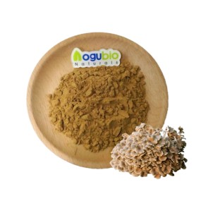 Zhuling Extract Factory - Top Quality 10:1 Polyporus Umbellatus