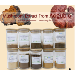 Turkey Tail Extract Factory - Organic 30-50% Polysaccharides