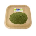 Parsley Powder Factory - Best Price Dried Herb Powder