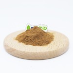 Reishi Extract Powder Factory - Natural Mushroom Extract Powder