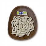 Red Ginseng Capsules Supplier - Korean Panax Ginkgo Biloba Organic