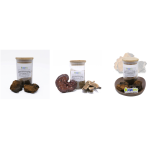 Reishi Capsules Supplier - High Quality 99% Mushroom Extract