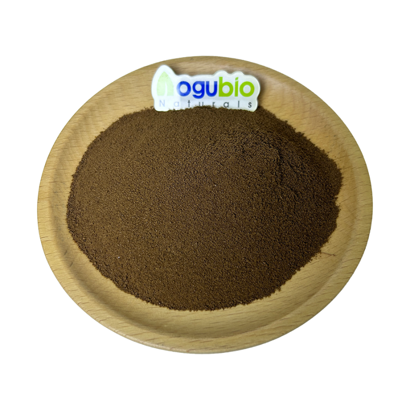 Mushroom Coffee Powder Manufacturer - Pure Organic Private Label