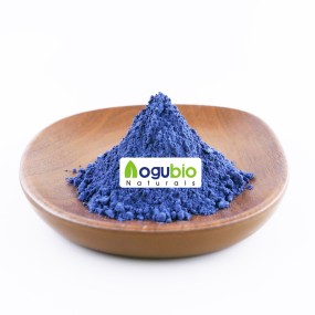 Butterfly Pea Powder Manufacturer - Natural Plant Extract Organic Blue