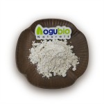 Bifidobacterium Bifidum Manufacturer - Food Ingredients Freeze-dried