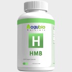 HMB Creatine Powder Manufacturer - Private Label with Vitamin D3 Betaine