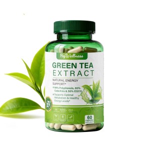 Green Tea Extract Factory - 80% Catcehins 50% EGCG 98% Polyphenols