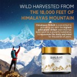 Shilajit Resin Factory - Hot Sell Pure Himalayan Organic