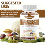 Mushroom Gummies Supplier - Natural Organic 10 in 1 Energy Focus
