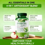 Green Tea Extract Factory - 80% Catcehins 50% EGCG 98% Polyphenols