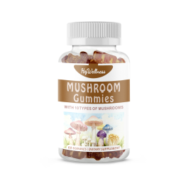 Mushroom Gummies Supplier - Natural Organic 10 in 1 Energy Focus