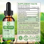 Sea Moss Drops Supplier - Vegan Organic Irish Moss Burdock