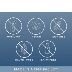 Lymphatic Drops Manufacturer - Organic Cleaning Echinacea Elderberry