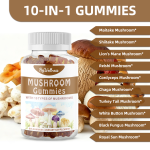 Mushroom Gummies Supplier - Natural Organic 10 in 1 Energy Focus