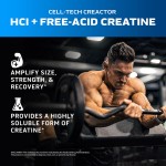 Creatine HCl Powder Factory - Boost Cell Energy Post Workout