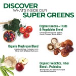 Super Greens Powder Supplier - Mushrooms Probiotics Gut Energy