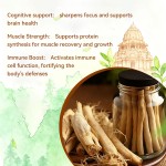 Ashwagandha Capsules Supplier - Custom Vegetarian Factory Direct