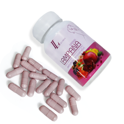 Beauty Supplement Capsules Supplier - Self Owned Brand OEM Customized Fruit