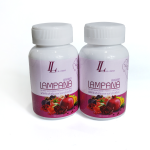 Health Food Capsules Supplier - High Quality OEM Super Greens Fruit Veggie
