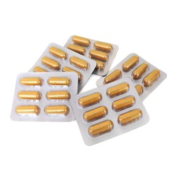 Health Capsules Manufacturer - 100% Natural Herbal 500mg Immune Support