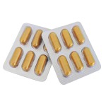 Health Capsules Manufacturer - 100% Natural Herbal 500mg Immune Support