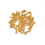 Maca Tablets Supplier - Bulk Wholesale Epimedium Safe Non-Pregnant