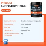 Creatine Monohydrate Powder Supplier - 600 Mesh Muscle Strength Energy