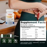 Detox Capsules Manufacturer - GMP Certified Fat Burning Herbal