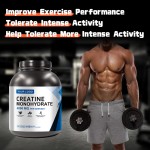 Bulk Creatine Powder Factory - Private Label Pre Workout Recovery