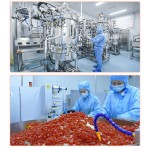 Tongkat Ali Capsules Factory - Male Libido Support Herbal Vitality