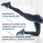 Plant Protein Powder Manufacturer - OEM Sports Nutrition Private Label