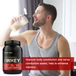 Whey Protein Powder Supplier - OEM Wholesale Bulk Private Label