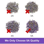 Lavender Tea Manufacturer - OEM Tension Relax Sleep Support