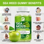 Sea Moss Gummies Factory - OEM Private Label Dietary Supplement