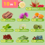 Berberine Liquid Drops Supplier - OEM Immune Digestion Custom